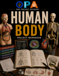 Human Body Project Workbook